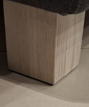 camello-gulta-izpardosana-kajas