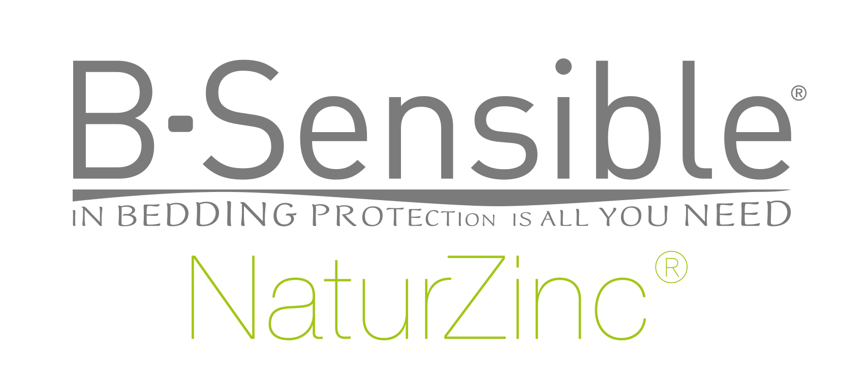 logo BSensible NaturZinc