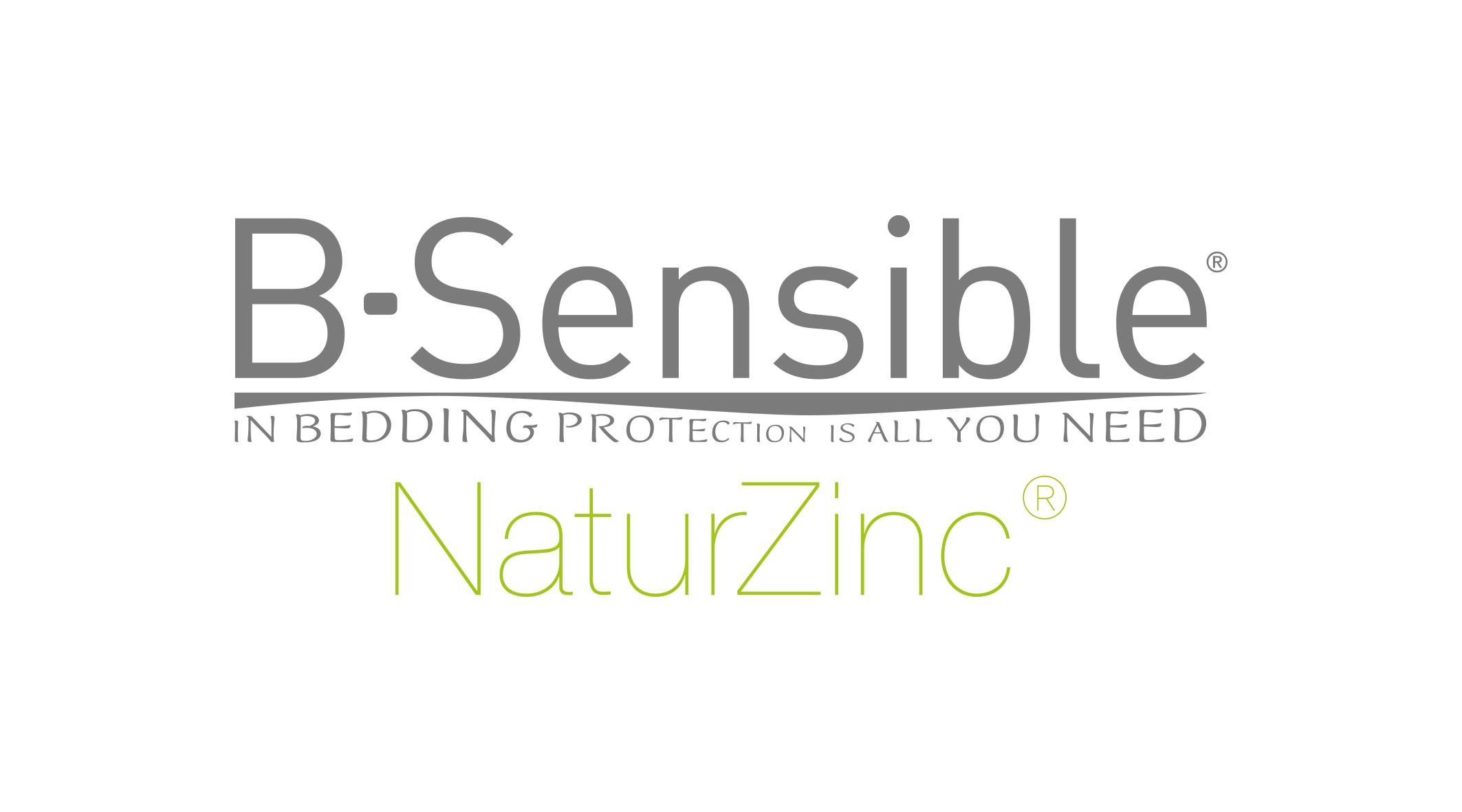 logo BSensible NaturZinc