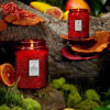 Voluspa aromātiskā svece Goji Tarocco Orange citrusu augļu stikla trauciņā