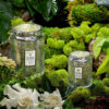 Voluspa aromātiskā svece Yashioka Gardena kompozīcija